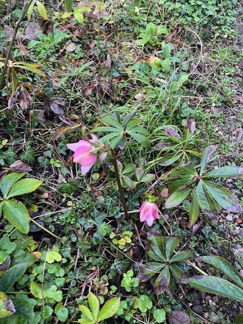 Blog Writers Block, Getting Ready for the Sale, April event