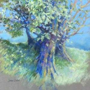 Old Oak by Jane Wells