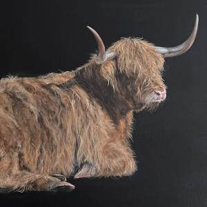 Resting Highland Cow, by Rosie Mark