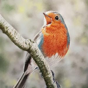 Singing His Heart Out, by Ivan Jones