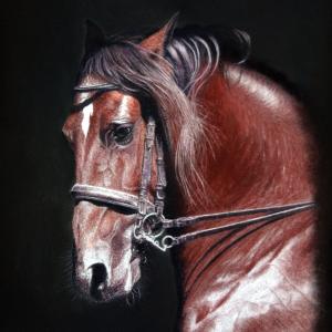 Champing at the Bit by Ivan Jones