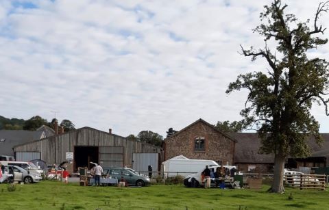 Aardvark May Car Boot