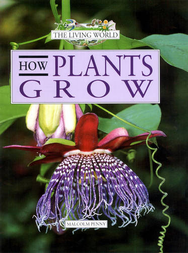 How Plants Grow (Living World)