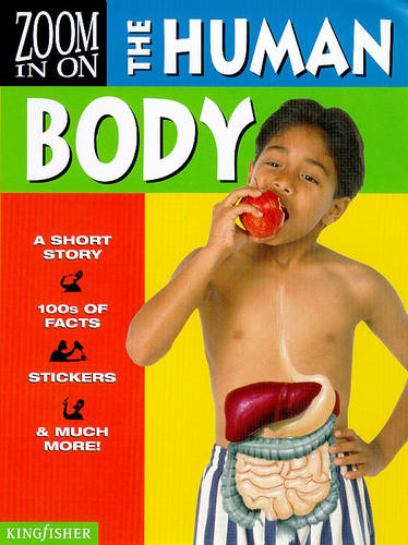 Human Body (Zoom in on)