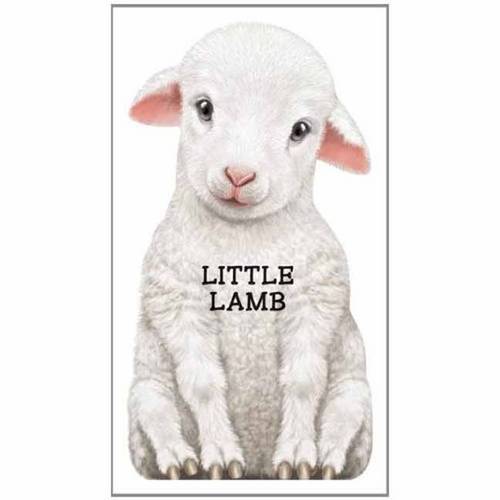 Little Lamb: Look at Me (Look at Me Books (Barron's))