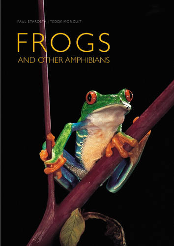 Frogs: And Other Amphibians